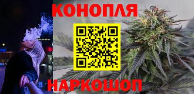 хмурый Шелехов