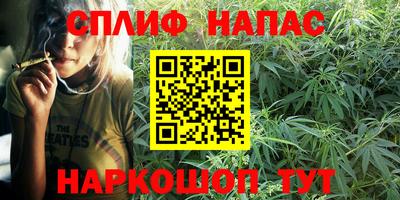 хмурый Шелехов