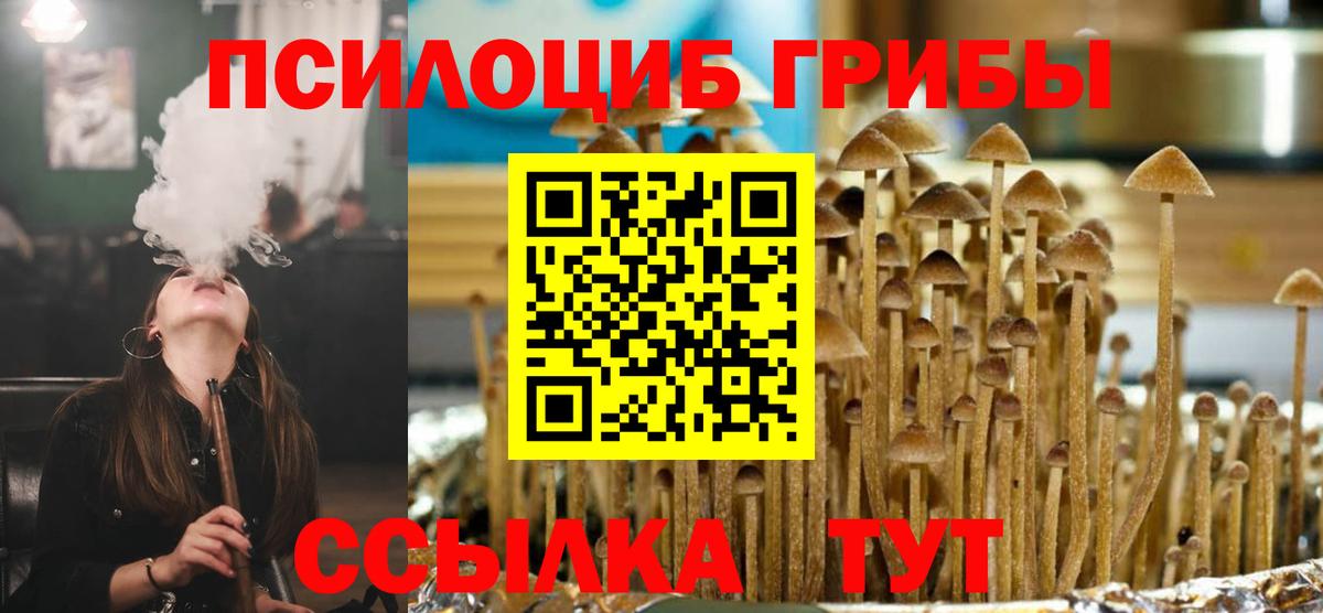 Галлюциногенные грибы мухоморы  Вход с VPN  Норильск 