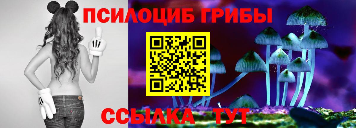 Псилоцибиновые грибы мицелий Норильск